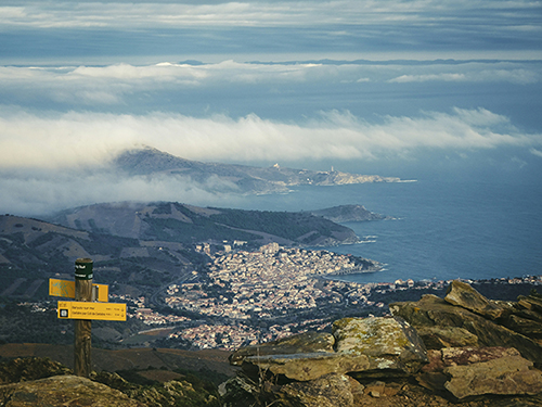 banyuls_pic